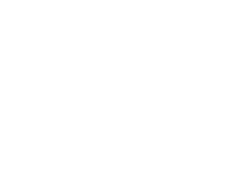 logo for shekinah church in white